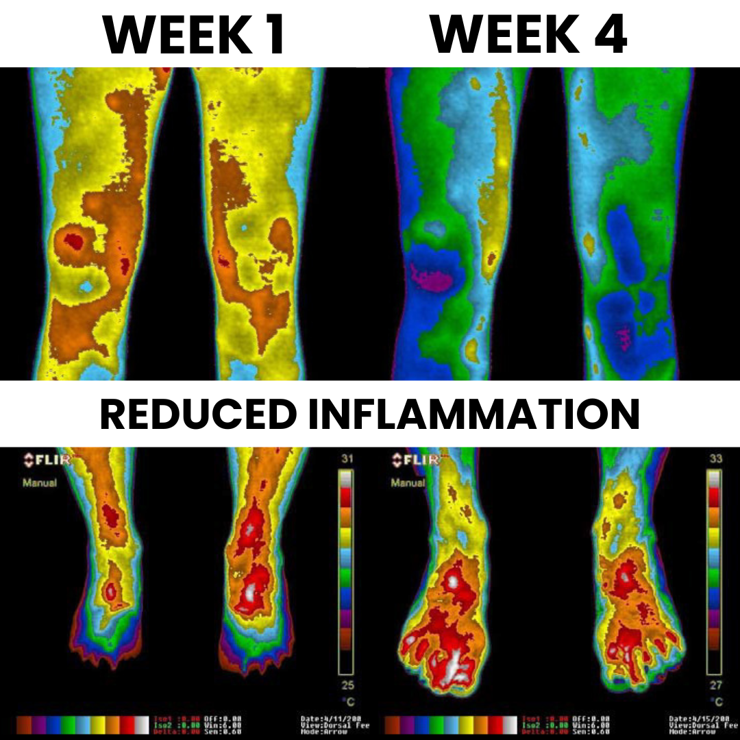 Terra Grounding Mat 9