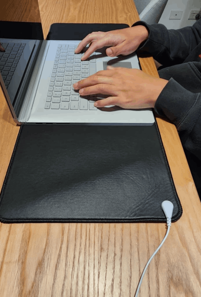 Terra Grounding Mat 3